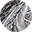 True Timber Camo